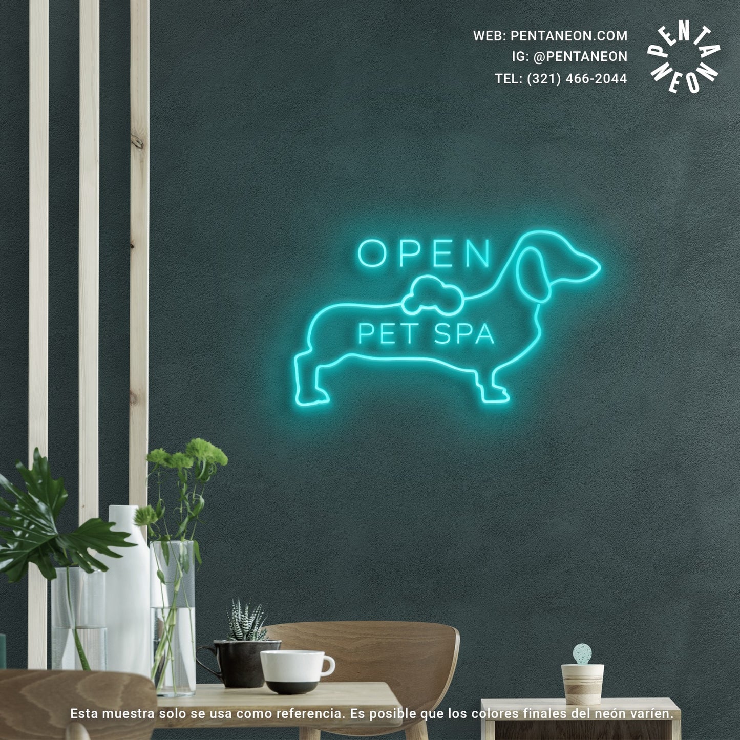 OPEN PET SPA