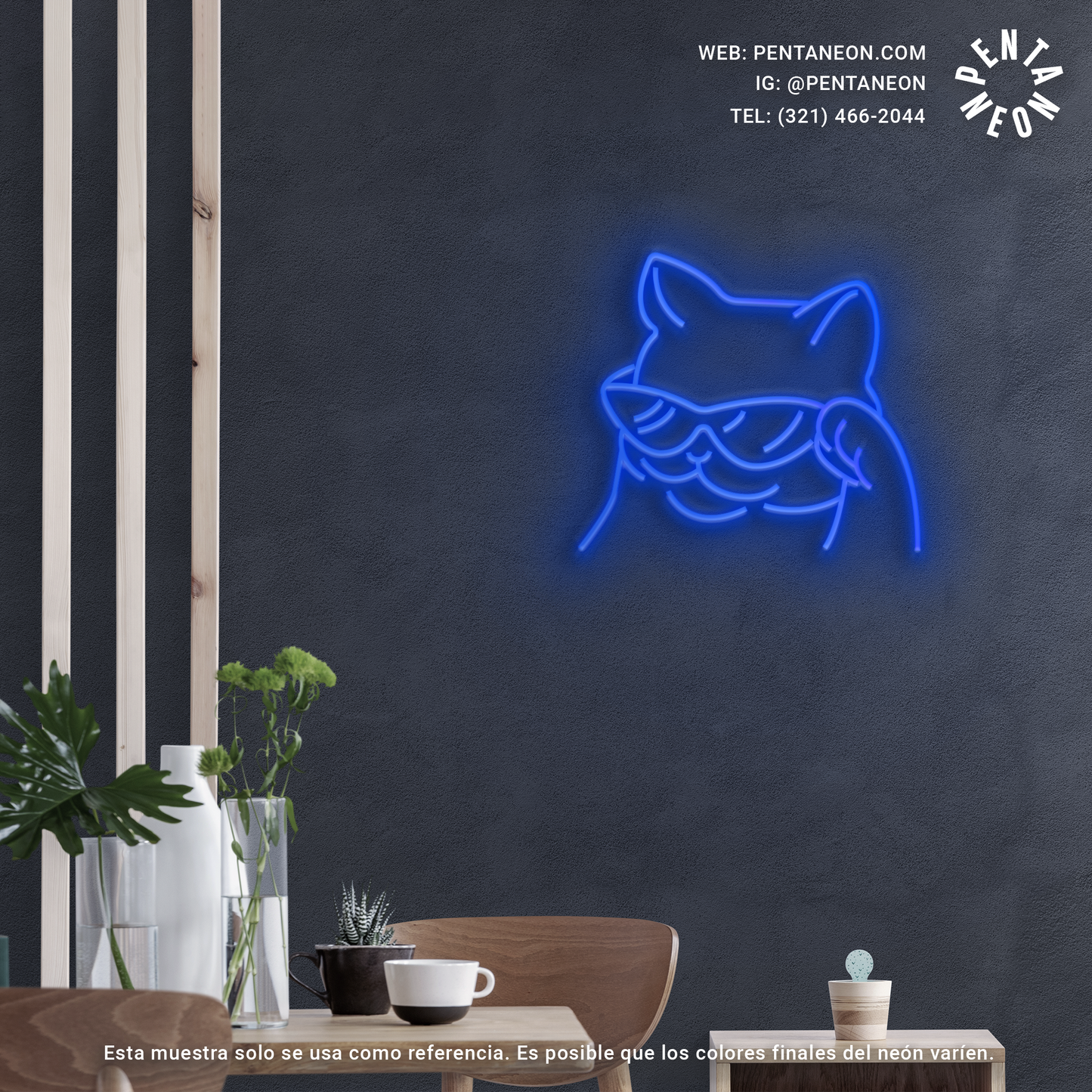 Gato Cool en Neón LED