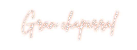 Custom Neon: Gran chaparral